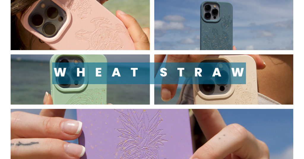 A biodegradable iPhone case is here!