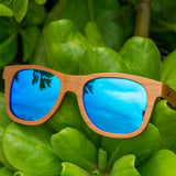 hawaii sunglasses brand